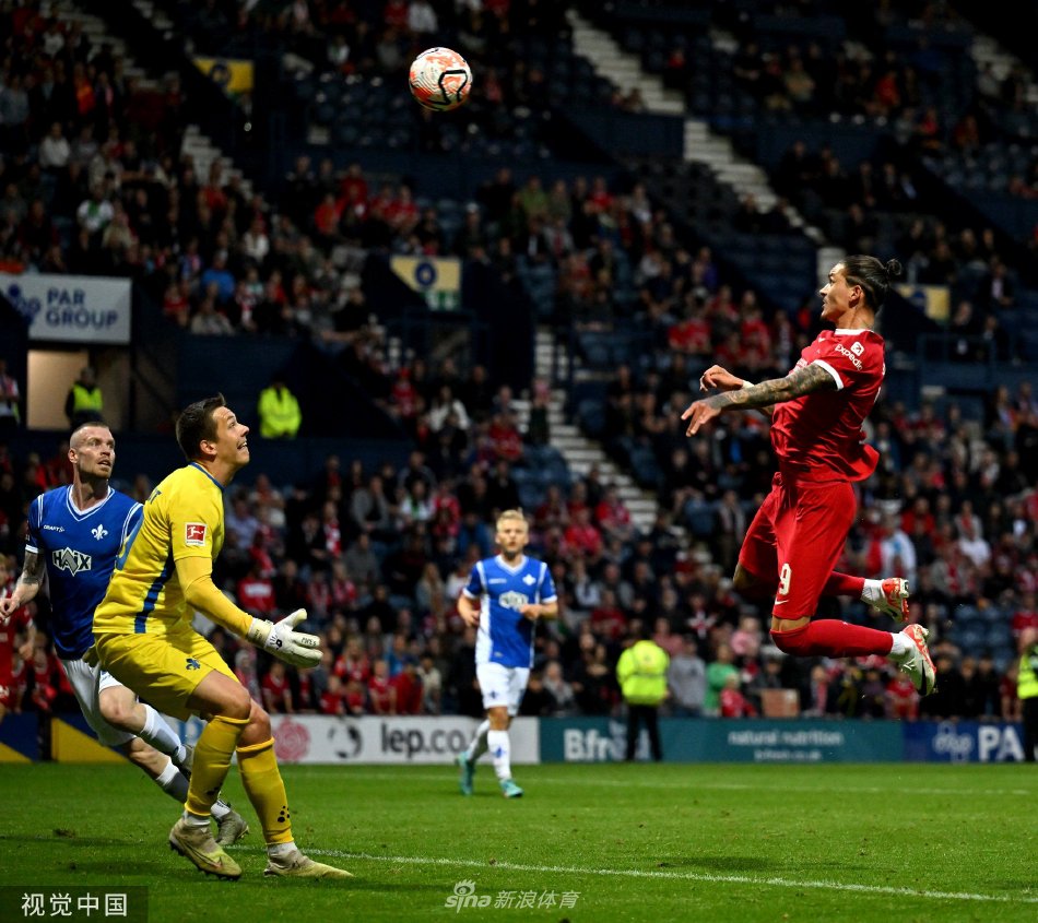 析师的首选 析师的首选